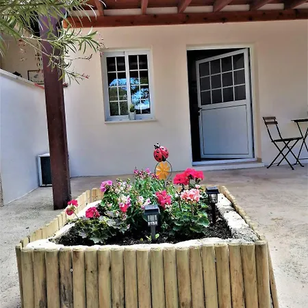 Lemon Tree Courtyard *