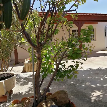 Lemon Tree Courtyard Ларнака