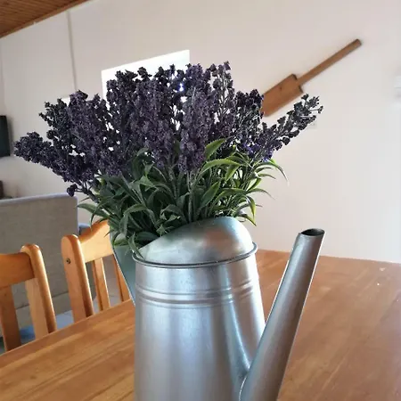 Lemon Tree Courtyard