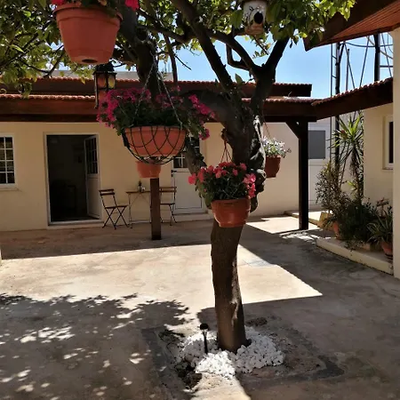 Lemon Tree Courtyard Дом отдыха *