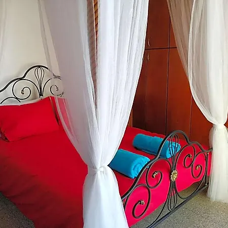 Holiday home Lemon Tree Courtyard Larnaca