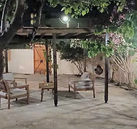 Lemon Tree Courtyard *