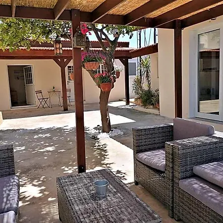 Lemon Tree Courtyard *