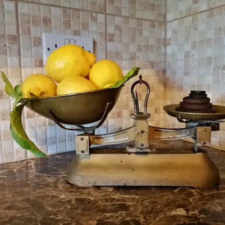 Lemon Tree Courtyard *