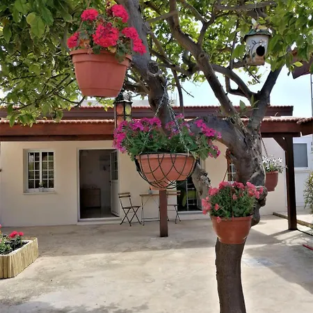 Lemon Tree Courtyard Hébergement de vacances