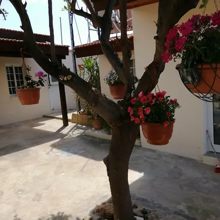 Lemon Tree Courtyard * Larnaca