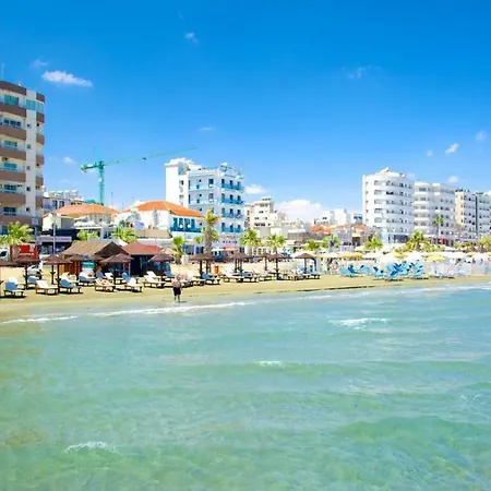 Lemon Tree Courtyard *