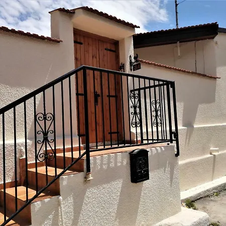 Lemon Tree Courtyard *