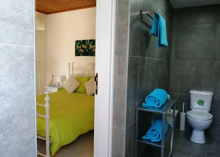 Lemon Tree Courtyard *