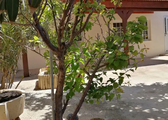 Lemon Tree Courtyard ラルナカ