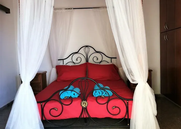 Lemon Tree Courtyard