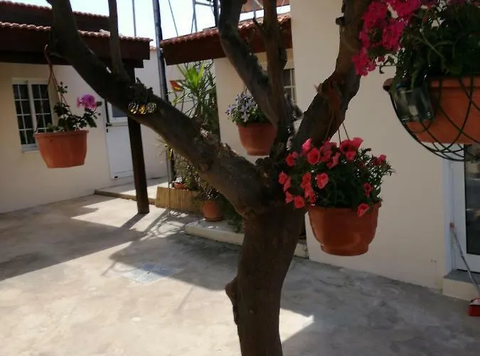 Lemon Tree Courtyard * Larnaca